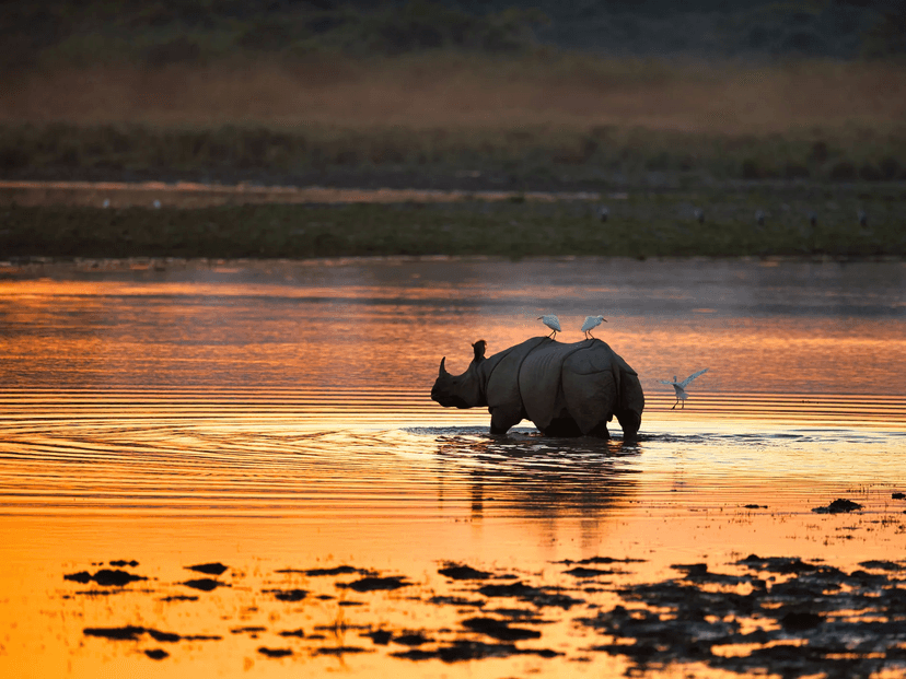 Photo of Colombo National Park Tour